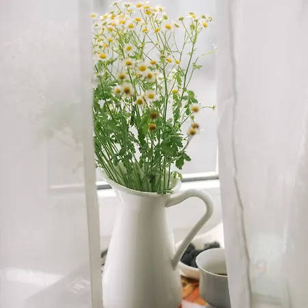 公寓 Agapella Apartamenty- Kosciuszki Centrum, Free Parking 索波特