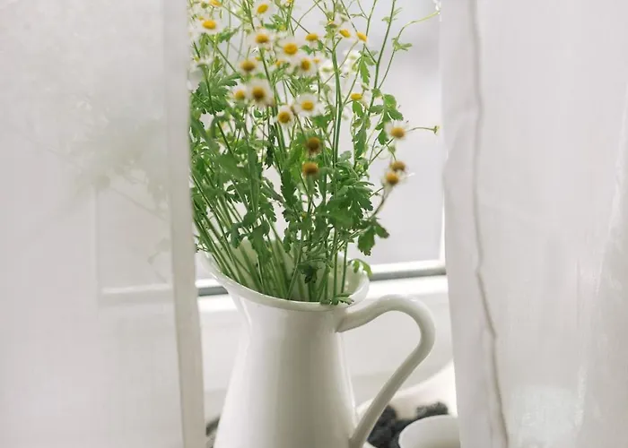 Apartman Agapella Apartamenty- Kosciuszki Centrum, Free Parking Sopot